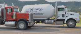 Nelson's Oil & Gas, Inc